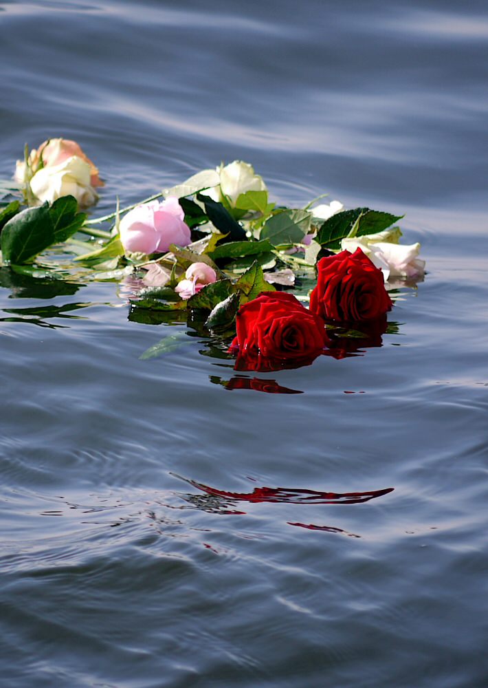 Asverstrooiing op het IJsselmeer