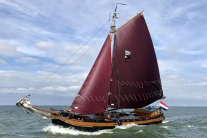 Bruine vloot