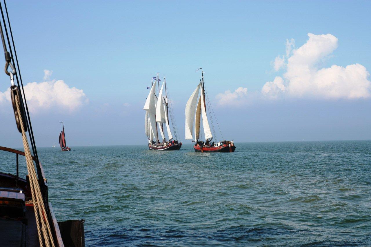 regatta zeilen