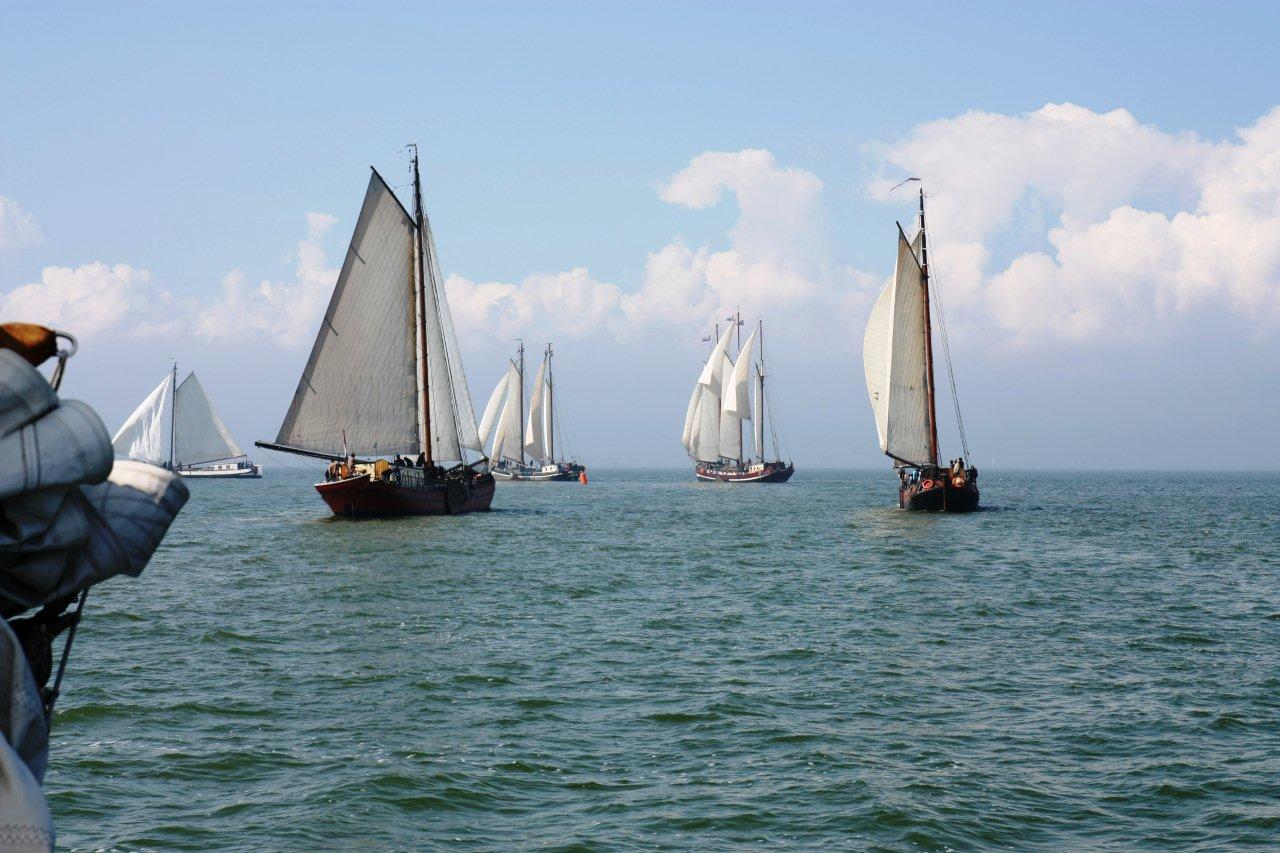 Regatta zeilen