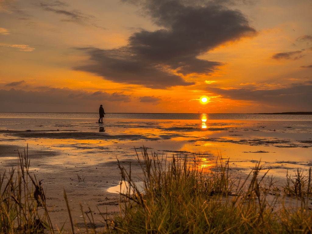 waddenzee_catharina_van_mijdrecht